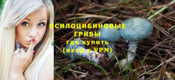 сатива Алексин