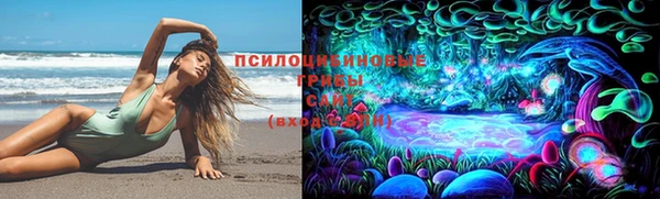 сатива Алексин
