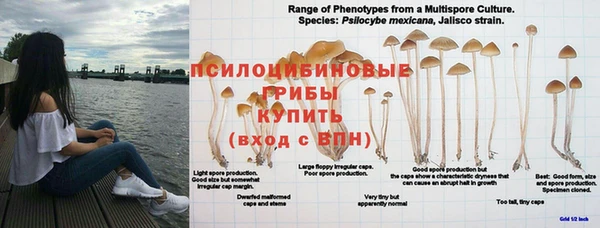кокаин Алексеевка